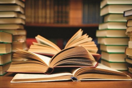 Детская библиотека имени К. Чуковского подала заявку на участие в проекте «БиблиоРодина»
