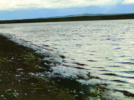 Экологическая акция «Чистый берег» на озере Дус-Холь продолжается!